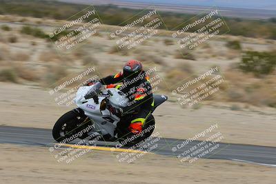 media/Jan-14-2023-SoCal Trackdays (Sat) [[497694156f]]/Turn 9 Inside (11am)/